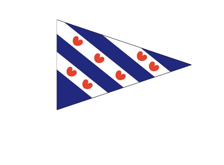 Friese puntvlag