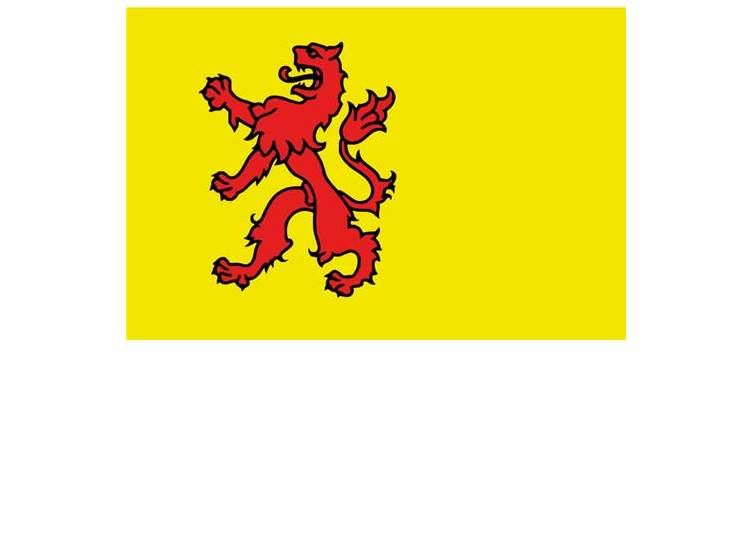 Vlag Zuid-Holland